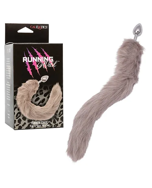 Anal California Exotic Novelties Running Wild Tail Metallic Anal Probe