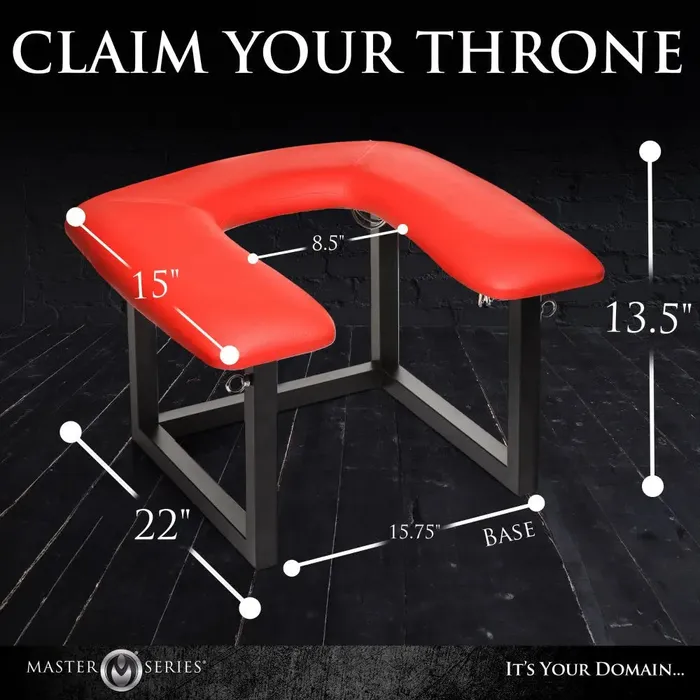 Female Sex Toys Master Series Face Rider Queening Chair BDSM Furniture Sex Dungeon Accessories