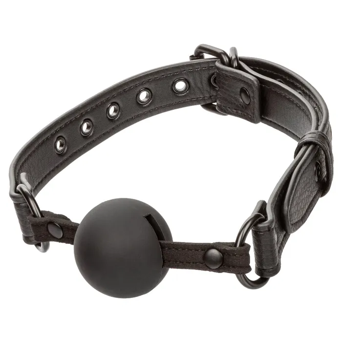 Anal CalExotics Nocturnal Collection Ball Gag Black